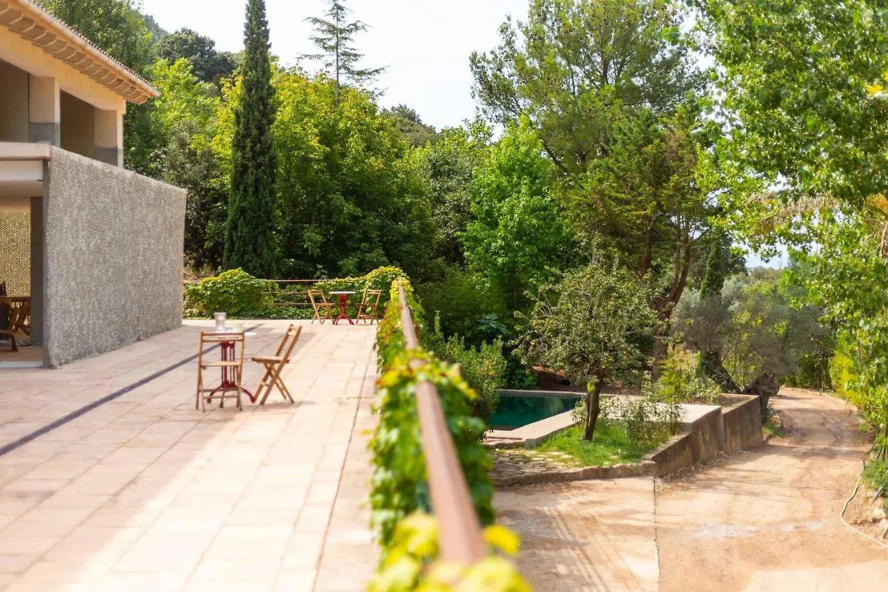 Villa Honor Nou